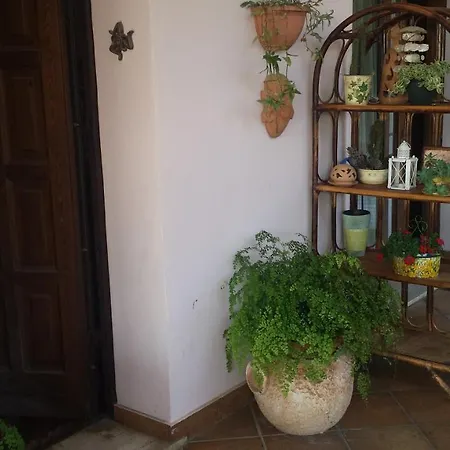 Noemi Bed & Breakfast Formia