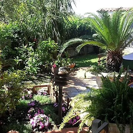 Noemi Bed & Breakfast Formia