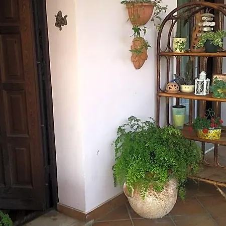 Noemi Formia