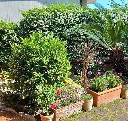 Bed & Breakfast Noemi
